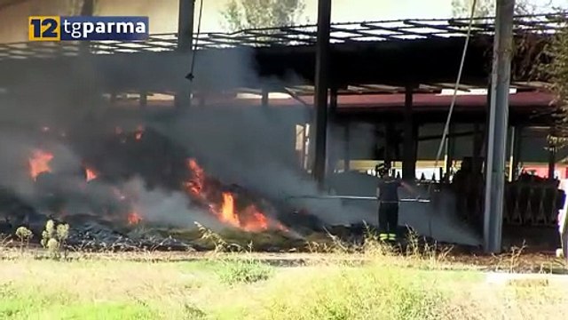 FRASSINARA, IN FIAMME DEPOSITO DI BALLONI DI FIENO: PAURA MA NESSUN FERITO | FRASSINARA, IN FIAMME DEPOSITO DI BALLONI DI FIENO: PAURA MA NESSUN FERITO