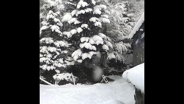 E in Appennino la primavera torna in bianco. Video: la neve a Lago Santo e Lagoni