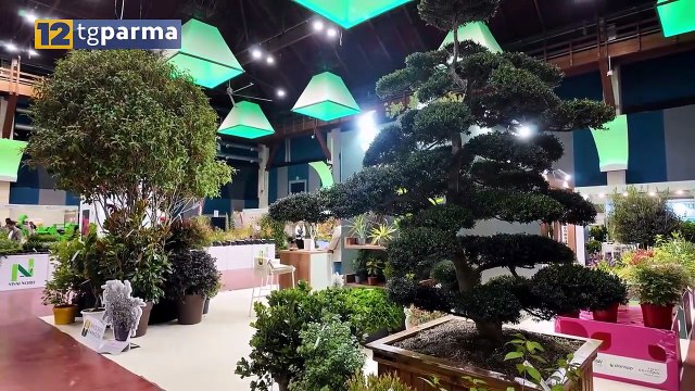 GREENITALY, ALLE FIERE DI PARMA SPAZIO A VERDE ED EXPORT | GREENITALY, ALLE FIERE DI PARMA SPAZIO A VERDE ED EXPORT