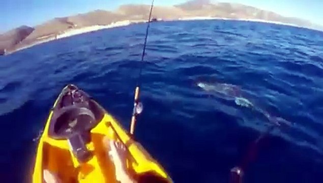 Pescatore in canoa attaccato da uno squalo
