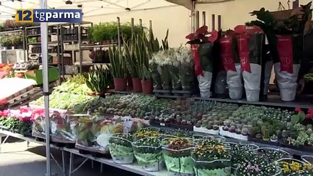IN VIA VERDI È TORNATO IL MERCATO EUROPEO. ANDRÀ AVANTI FINO A DOMENICA | IN VIA VERDI È TORNATO IL MERCATO EUROPEO. ANDRÀ AVANTI FINO A DOMENICA