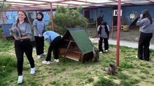 Nevşehir'deki "hayvan kasabası"nda bu yıl 150 köpek sahiplendirildi