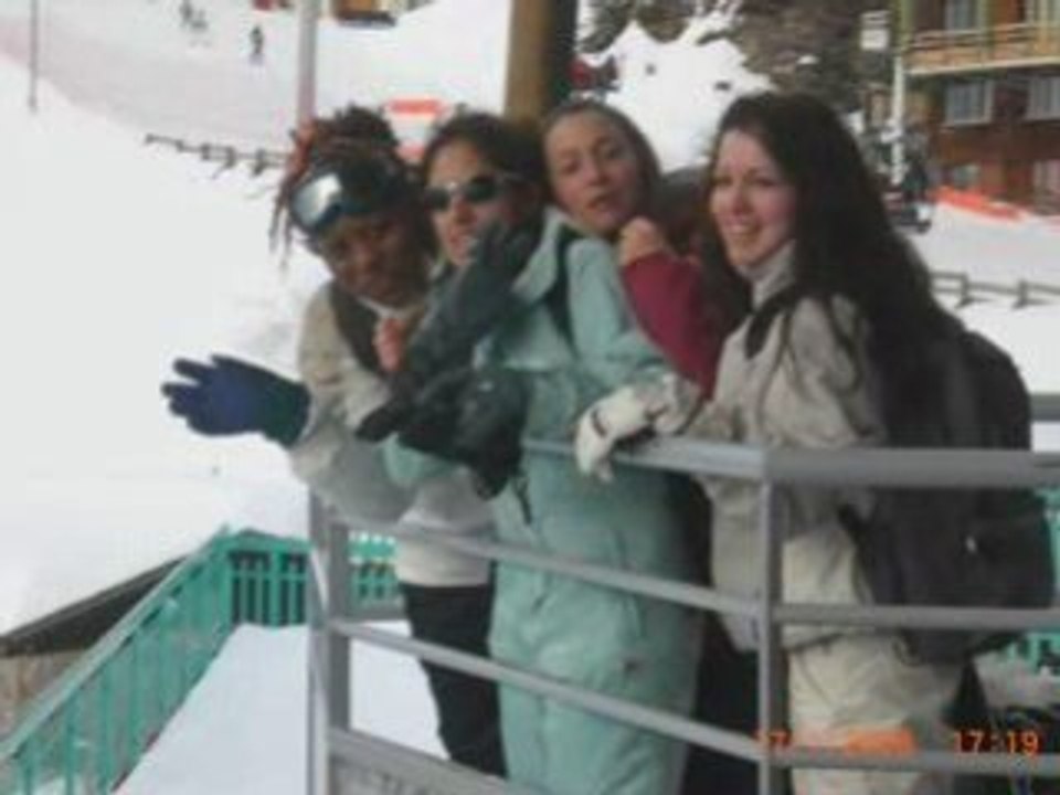 Voyageski