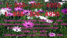 !!Complete™ List of Coinbase™ Official Customer Service℗ Phone Number Guide Step-by-Step Help & Support Coinbase™