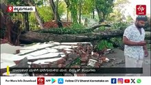 ಚಿಕ್ಕಮಗಳೂರು: ಮಳೆಗೆ ಮರಗಳು, ವಿದ್ಯುತ್ ಕಂಬಗಳು ಧರೆಗೆ, ಶೇ.60 ರಷ್ಟು ಪ್ರದೇಶದಲ್ಲಿ ವಿದ್ಯುತ್ ವ್ಯತ್ಯಯ