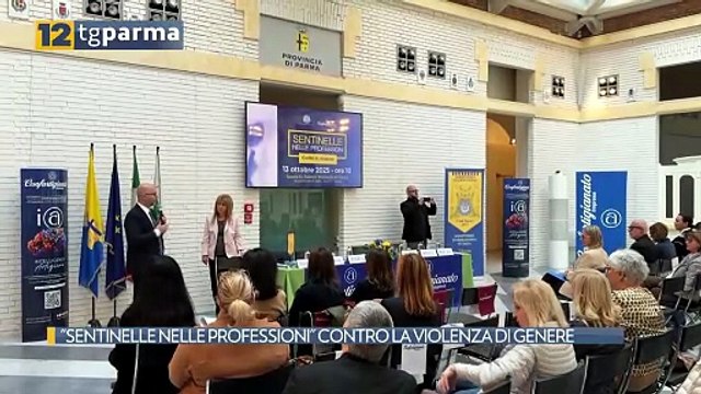 SENTINELLE NELLE PROFESSIONI CONTRO LA VIOLENZA DI GENERE | SENTINELLE NELLE PROFESSIONI CONTRO LA VIOLENZA DI GENERE