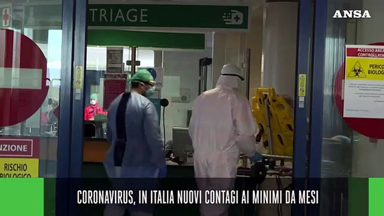Ansa Live ore 19