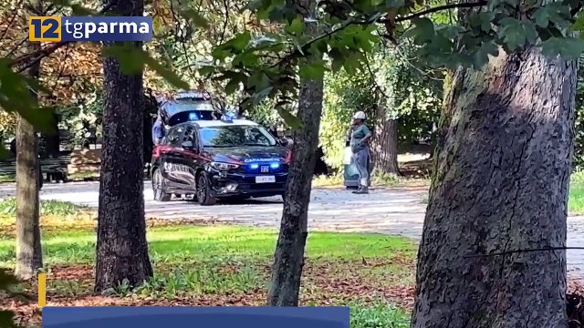 ZONE ROSSE , DOPPIO BLITZ DI CARABINIERI E POLIZIA | ZONE ROSSE , DOPPIO BLITZ DI CARABINIERI E POLIZIA