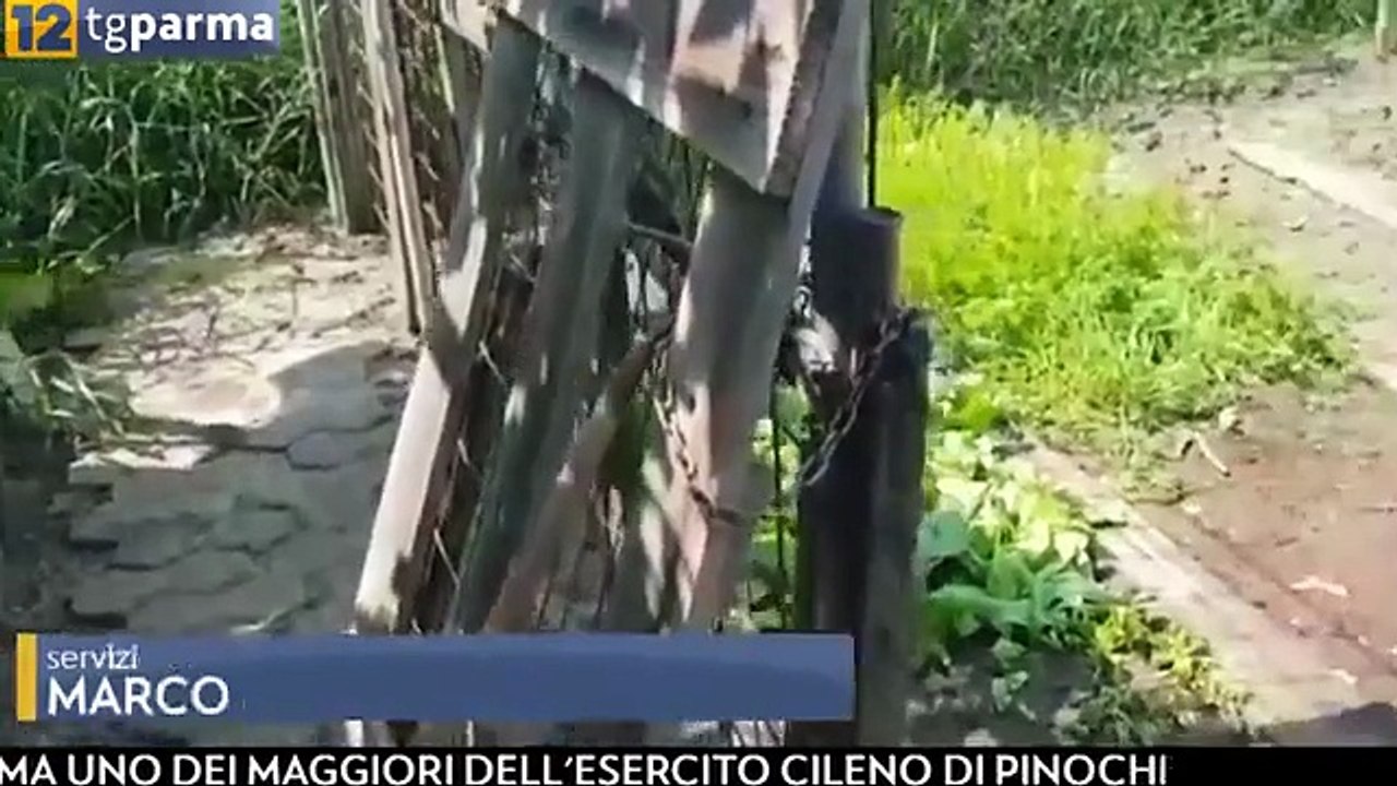 Ladri fanno razzia nell'orto di un pensionato in via del Garda