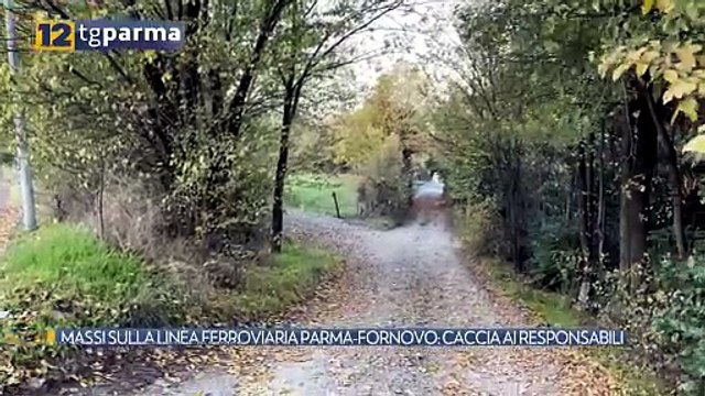 MASSI SULLA LINEA FERROVIARIA PARMA-FORNOVO: CACCIA AI RESPONSABILI | MASSI SULLA LINEA FERROVIARIA PARMA-FORNOVO: CACCIA AI RESPONSABILI