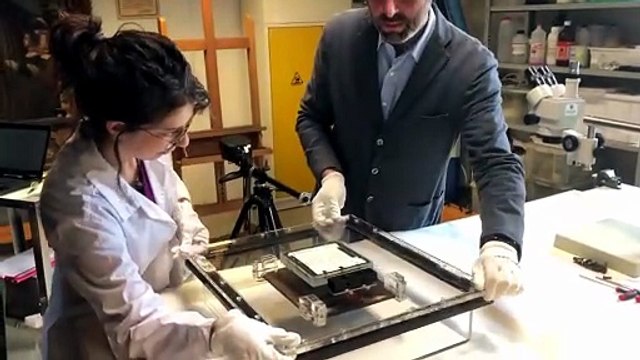 La Scapigliata ai raggi X. Il capolavoro in laboratorio Video - Il servizio del tg Parma