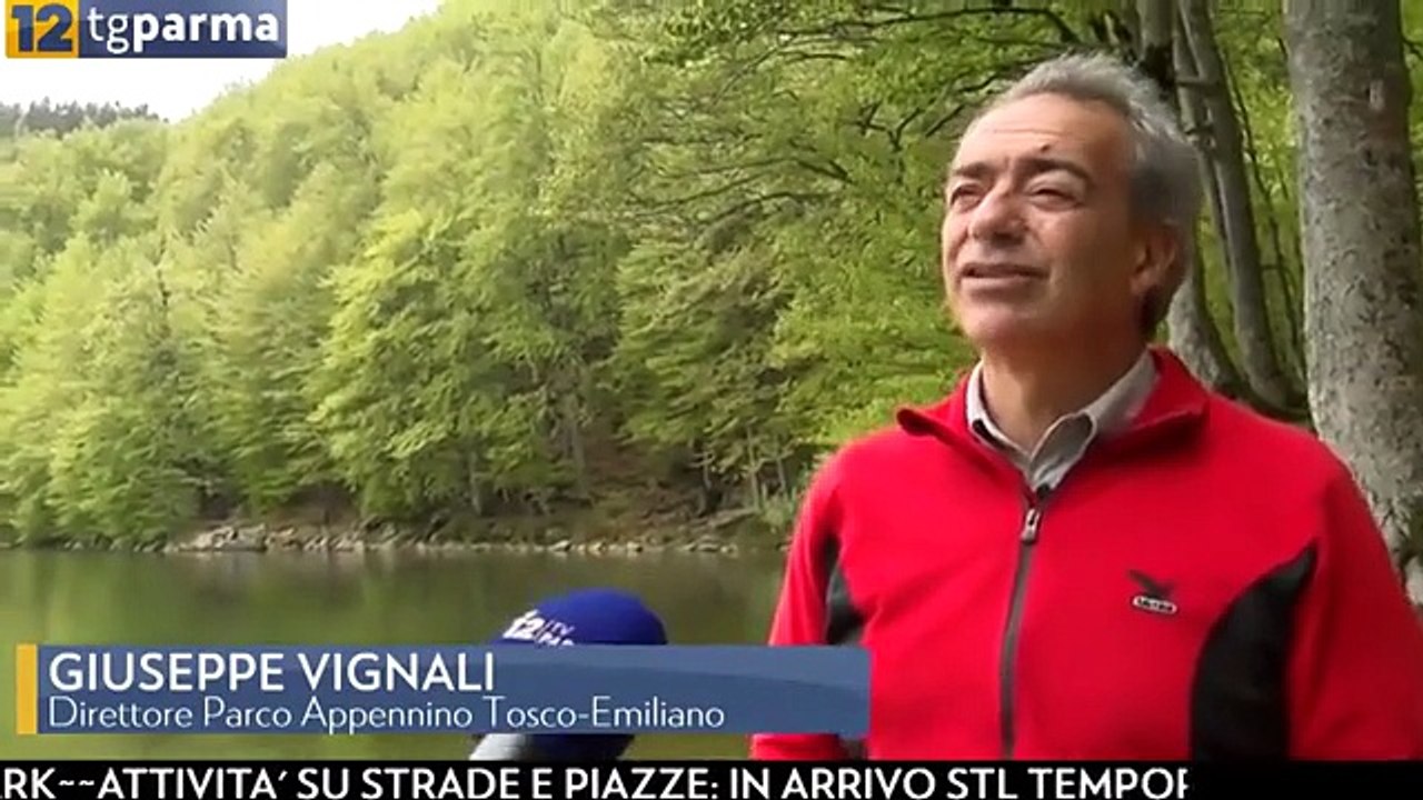Caldo e siccità, 2020 già da record
