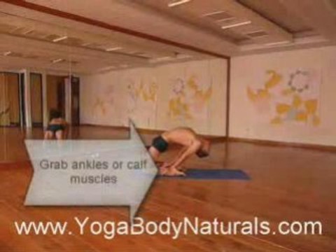 Yoga Back Stretching Exercises