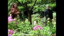 Randall and Hopkirk (Deceased) 2000. S01 E05. A Blast from the Past.
