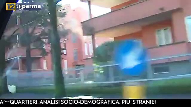 ANALISI SOCIO DEMOGRAFICA PARMA