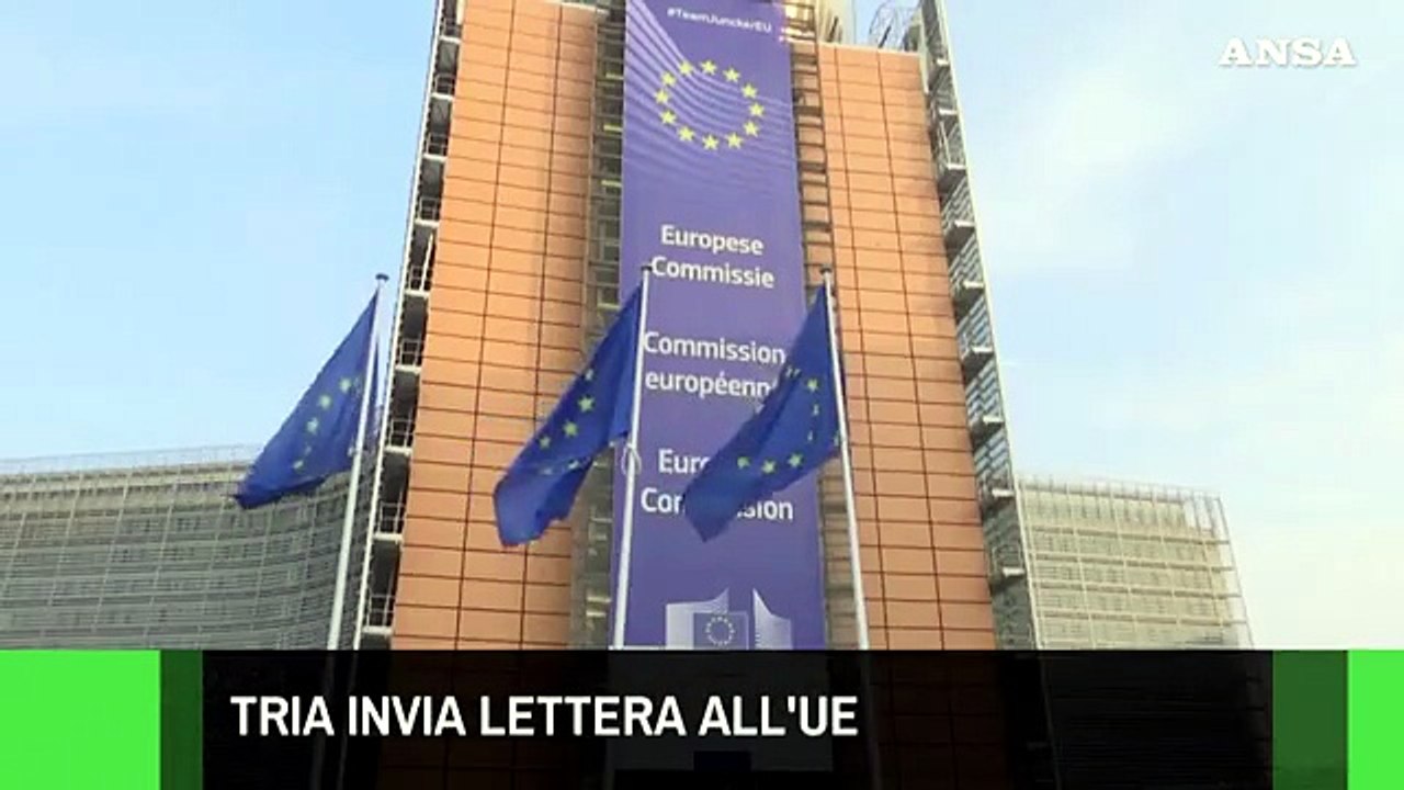 ANSAtg delle ore 12