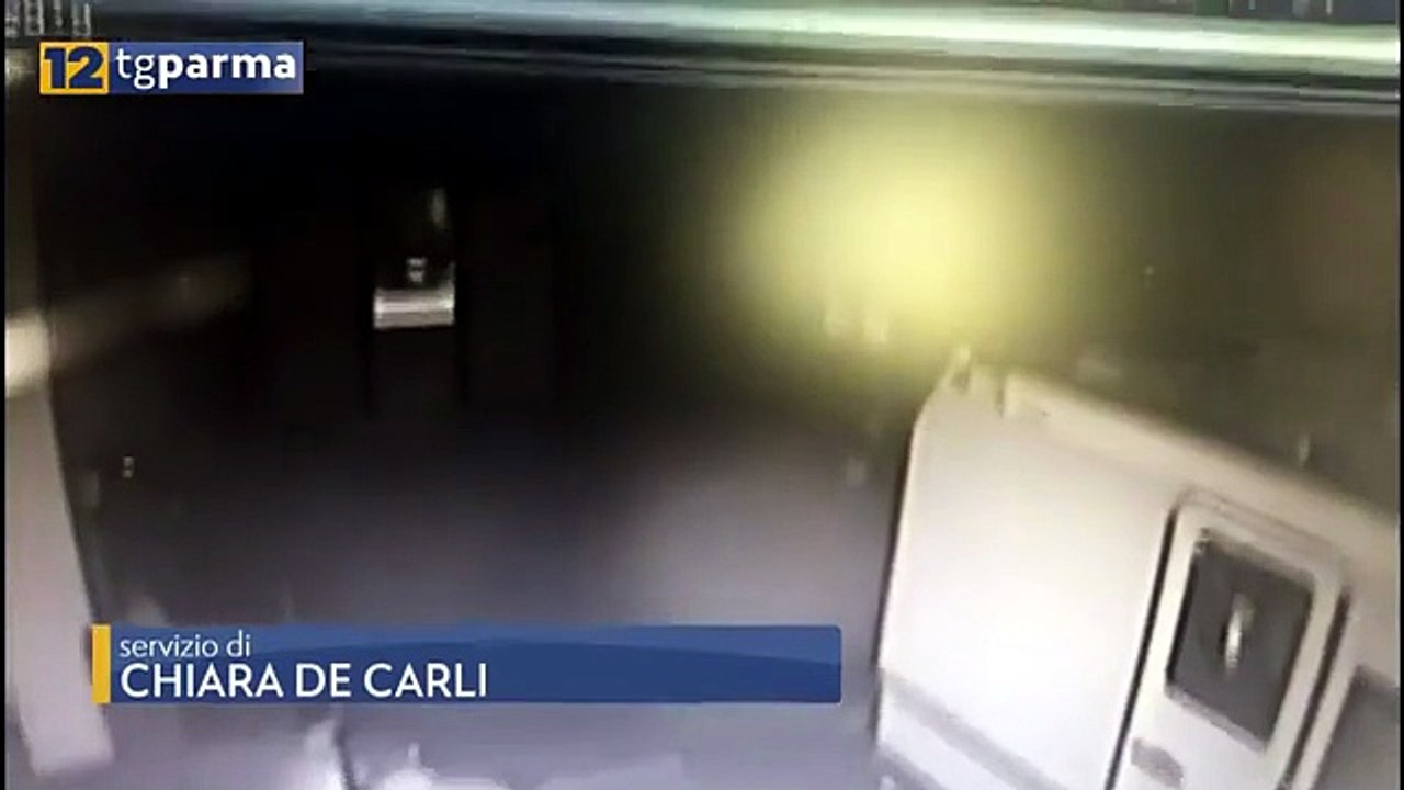 Furto in officina a Gainago di Torrile: bottino magro ma tanti danni
