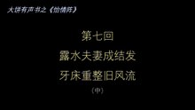 大饼有声书之《怡情阵》第七回（中）