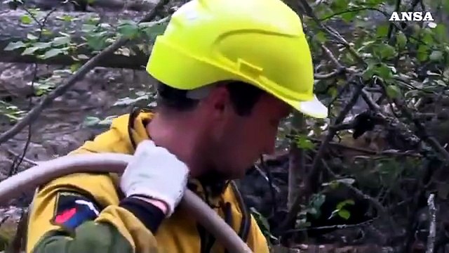 Brucia un'area della Siberia grande quanto il Belgio