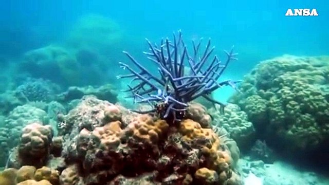 Giornata oceani: Onu, anche in mare serve parita' genere