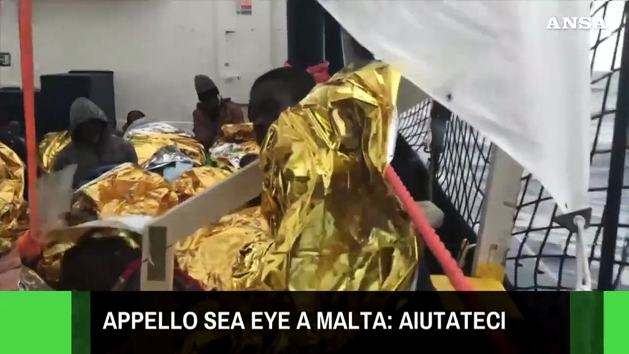 Ansalive tg delle 19