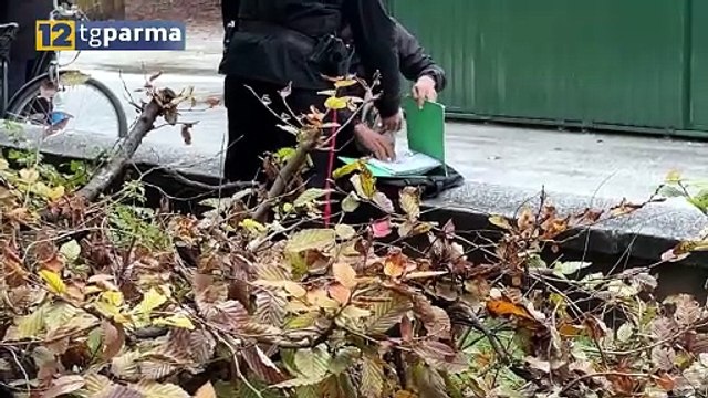 CONTROLLI SERRATI DEI CARABINIERI: DENUNCE, SEQUESTRI DI DROGA E ARMI | CONTROLLI SERRATI DEI CARABINIERI: DENUNCE, SEQUESTRI DI DROGA E ARMI