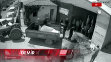 Isparta’da kurbanlık boğa demir kapıyı devirip kaçtı