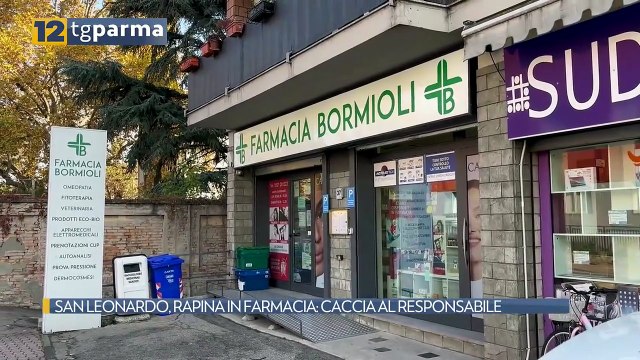 SAN LEONARDO, RAPINA IN FARMACIA: CACCIA AL RESPONSABILE | SAN LEONARDO, RAPINA IN FARMACIA: CACCIA AL RESPONSABILE