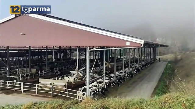 VALMOZZOLA, RIATTIVATA FRANA LAMINO: MINACCIA VIABILITÀ, STALLA RISCHIA ISOLAMENTO | VALMOZZOLA, RIATTIVATA FRANA LAMINO: MINACCIA VIABILITÀ, STALLA RISCHIA ISOLAMENTO