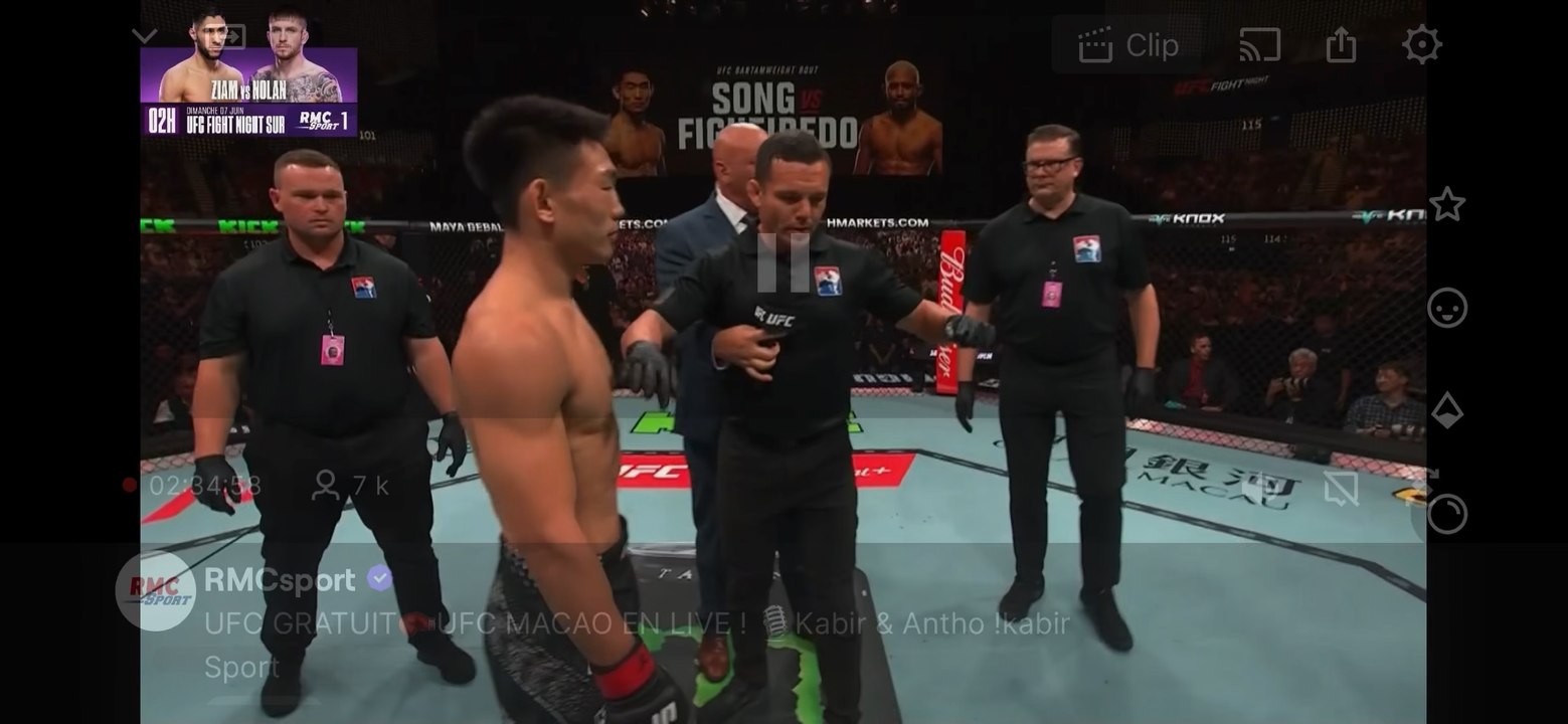 Figui vs song