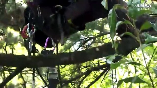 Una vita 'sospesa' tra rocce e alberi