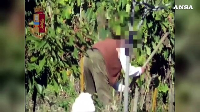 Truffe all'Inps, a Potenza eseguiti provvedimenti cautelari