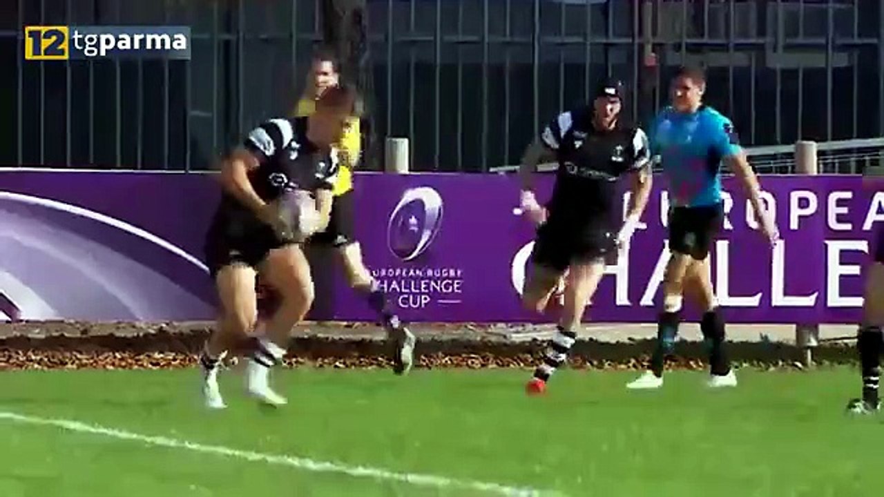 zebre rrrr