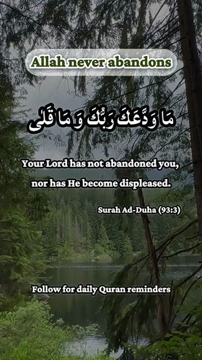 Feeling forgotten? Allah says this. ❤️ | Surah Ad-Duha 93:3