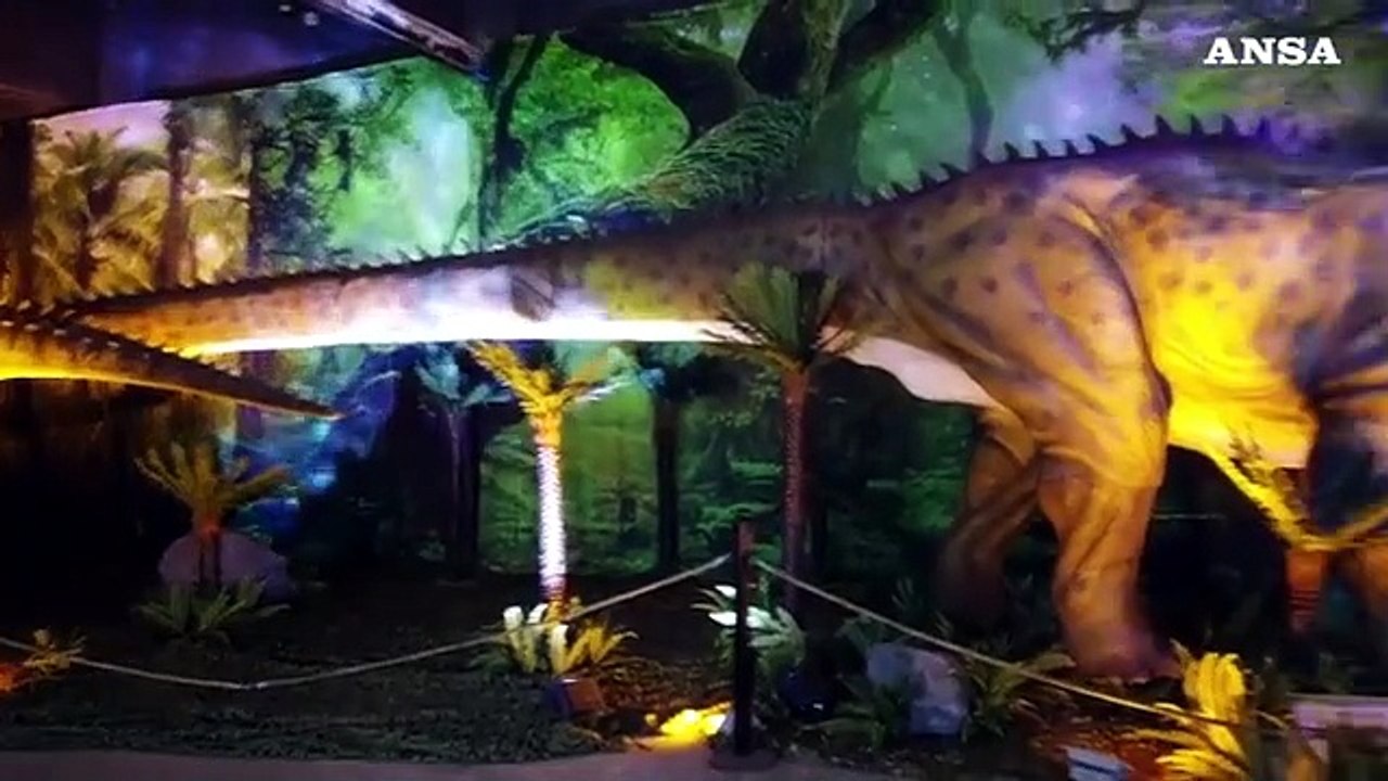 Van Gogh Monet Experience e Living Dinosaurs
