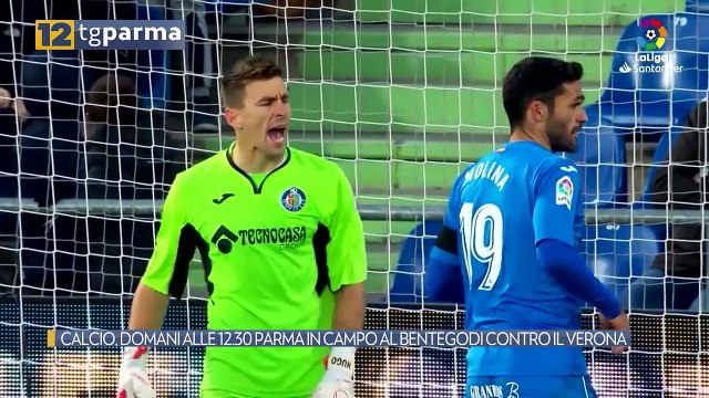 CALCIO, DOMANI ALLE 12.30 PARMA IN CAMPO AL BENTEGODI CONTRO IL VERONA | CALCIO, DOMANI ALLE 12.30 PARMA IN CAMPO AL BENTEGODI CONTRO IL VERONA