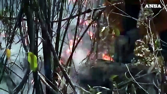 Amazzonia, manifestazioni contro il presidente Bolsonaro