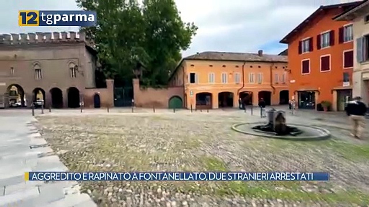 AGGREDITO E RAPINATO A FONTANELLATO, DUE STRANIERI ARRESTATI | AGGREDITO E RAPINATO A FONTANELLATO, DUE STRANIERI ARRESTATI