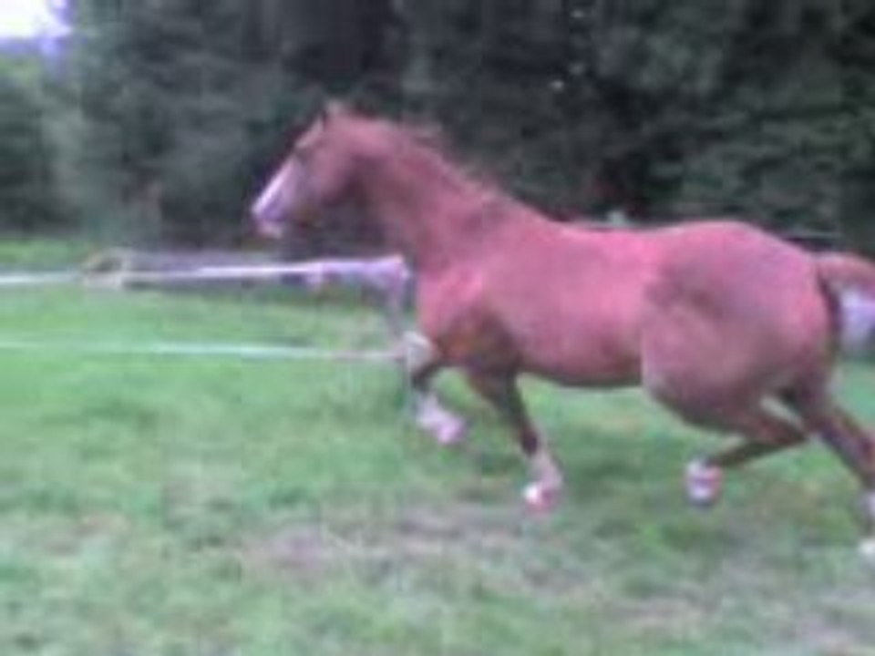 Cheyenne War Dance séance de saut en liberté