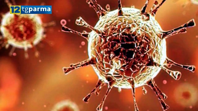 INFLUENZA, RIAPERTURA SCUOLE E AUMENTO DEI CONTAGI: PICCO FRA 10-15 GIORNI | INFLUENZA, RIAPERTURA SCUOLE E AUMENTO DEI CONTAGI: PICCO FRA 10-15 GIORNI