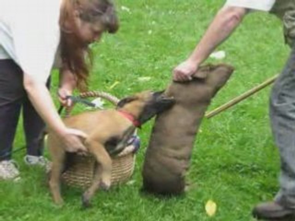 Les bébés du club 2