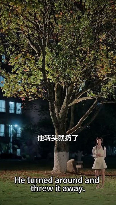 What's Wrong Now, My Eldest Miss: Offering Love as a Branch  又怎么了，我的大小姐：献爱为枝