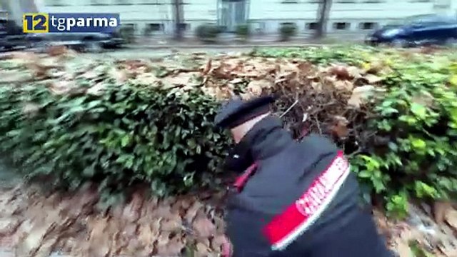 BLITZ ANTIDROGA TRA VIALE VITTORIA E VIA DEI MILLE: DUE ARRESTATI | BLITZ ANTIDROGA TRA VIALE VITTORIA E VIA DEI MILLE: DUE ARRESTATI