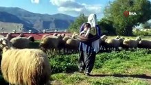 Şavakların yayla mücadelesi: Tulum peynirinin arkasındaki emek