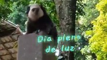 1000043526- OS SAGUIS