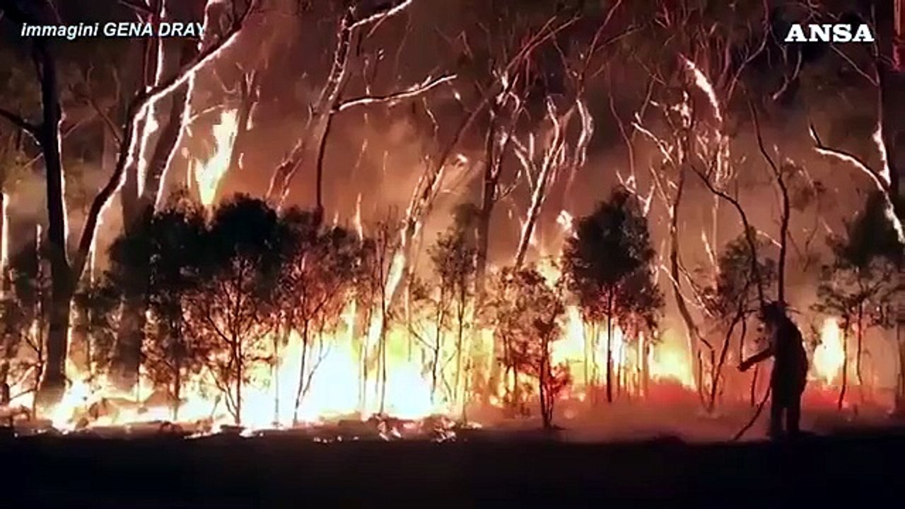 Sidney, a fuoco oltre 300