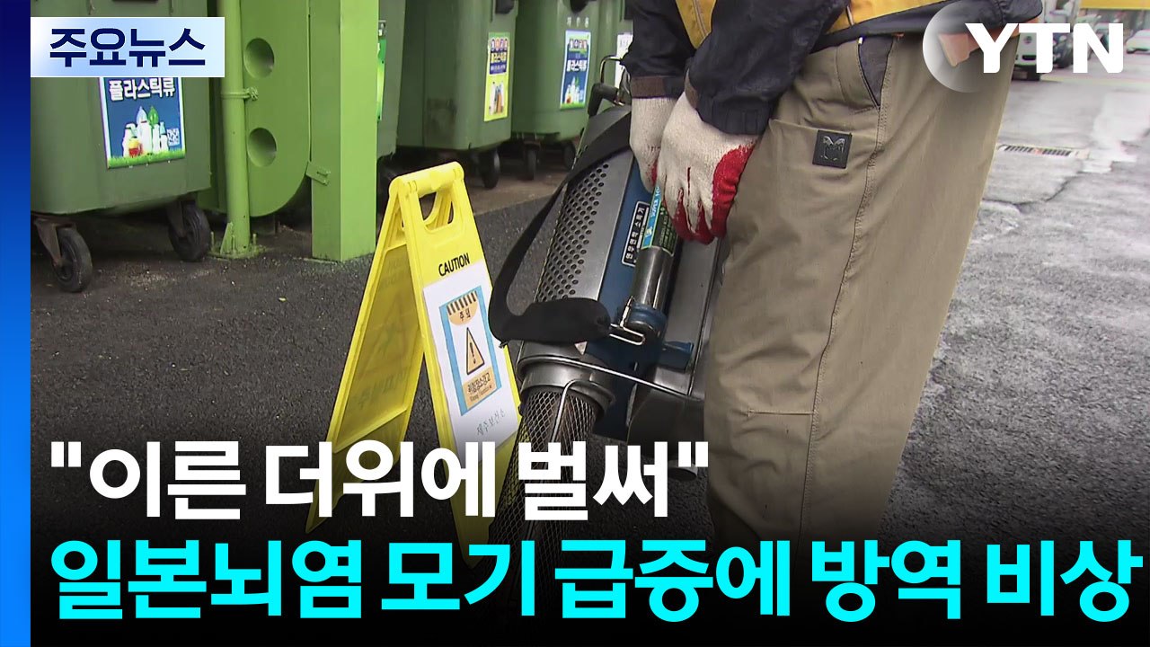 "이른 더위에 벌써"...일본뇌염 모기 급증에 방역 비상 / YTN