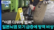 "이른 더위에 벌써"...일본뇌염 모기 급증에 방역 비상 / YTN