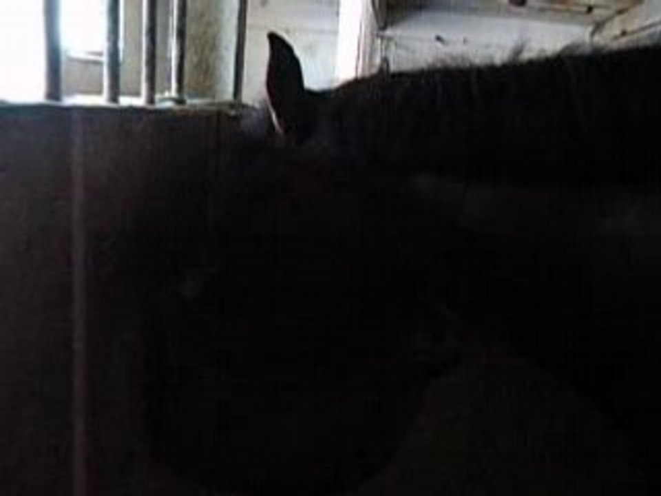 IMGP1233