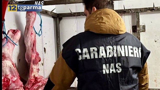NAS SEQUESTRA 1,5 TONNELLATE DI CARNE, SOSPESO UN LABORATORIO DI PRODUZIONE | NAS SEQUESTRA 1,5 TONNELLATE DI CARNE, SOSPESO UN LABORATORIO DI PRODUZIONE